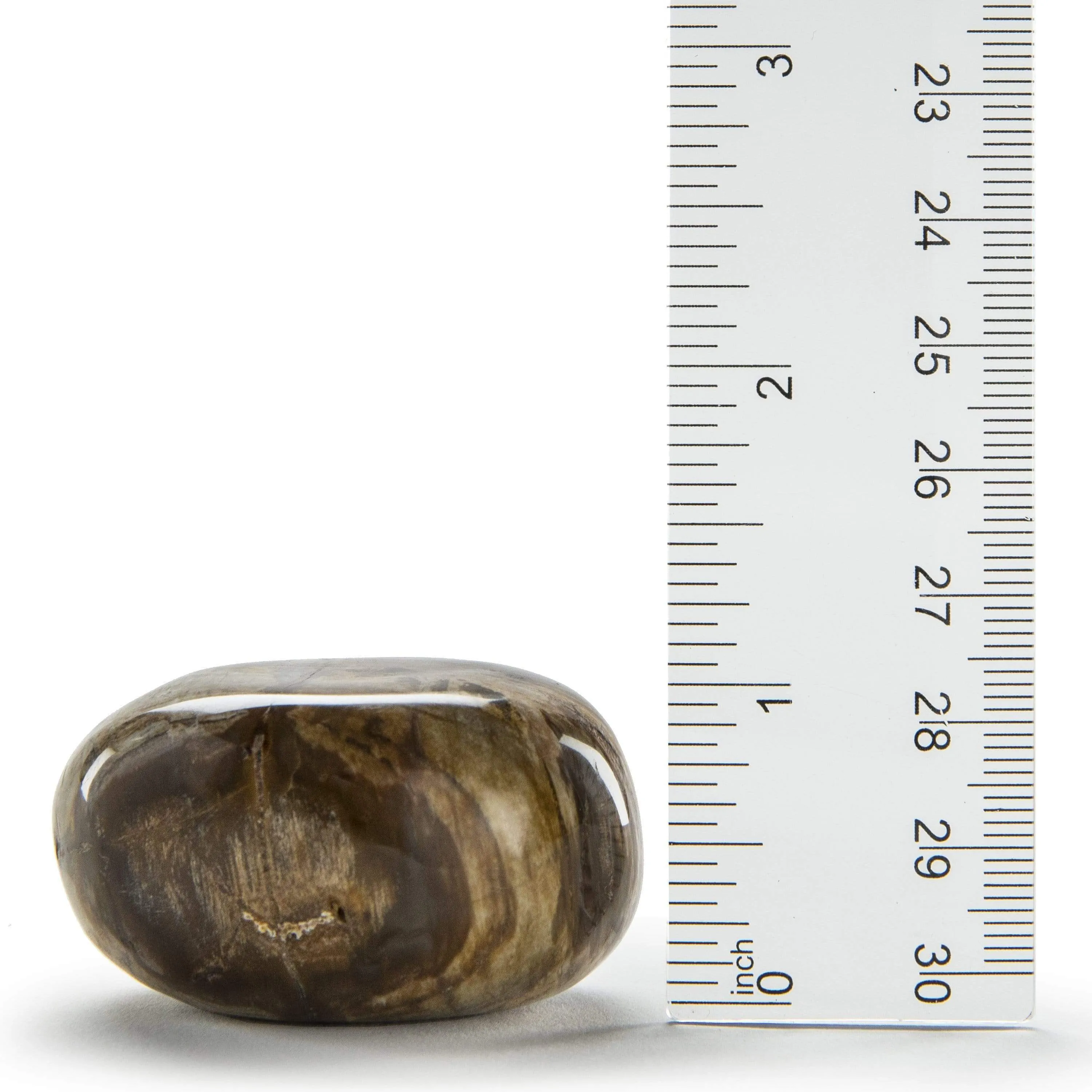 Petrified Wood Worry Stone